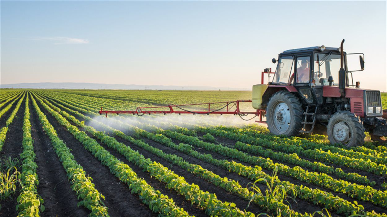 Agriculture Industry